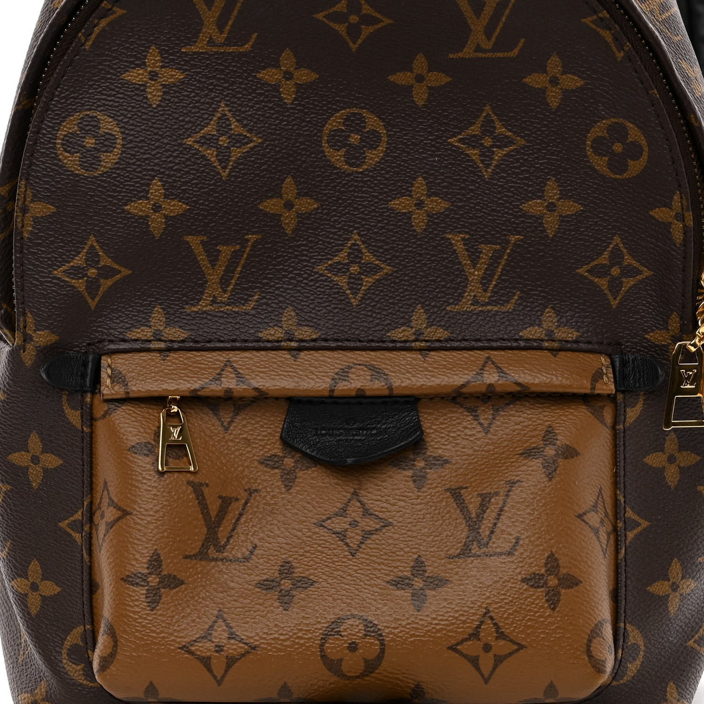 Reverse Monogram Palm Springs Backpack PM