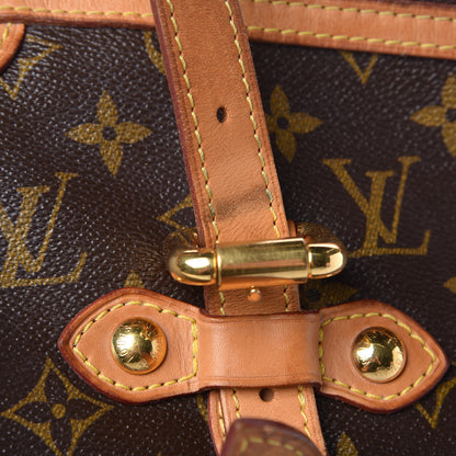 Louis Vuitton Monogram Palermo GM 21 of 29