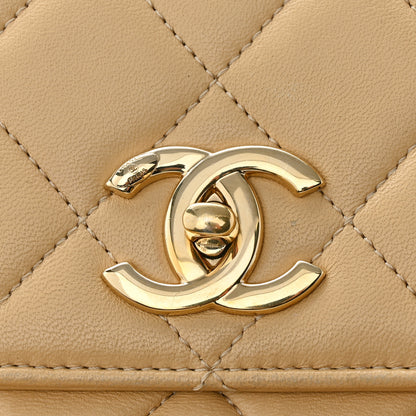 Chanel Lambskin Quilted Medium Trendy CC Flap Dual Handle Bag Beige 16 of 18