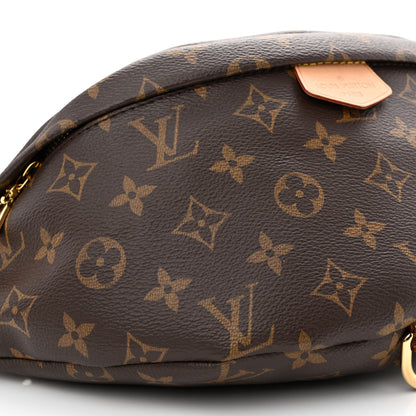 Louis Vuitton Monogram Bumbag 9 of 10