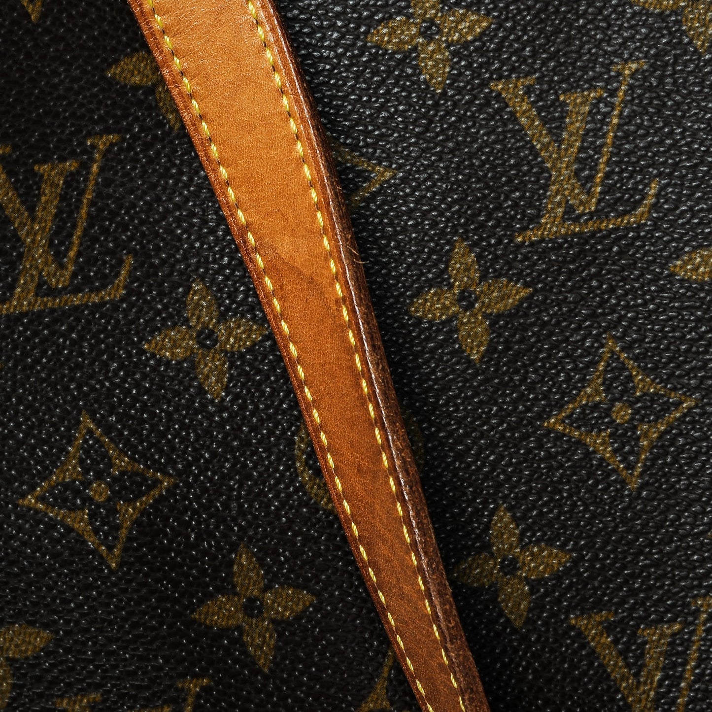 Monogram Cabas Mezzo
