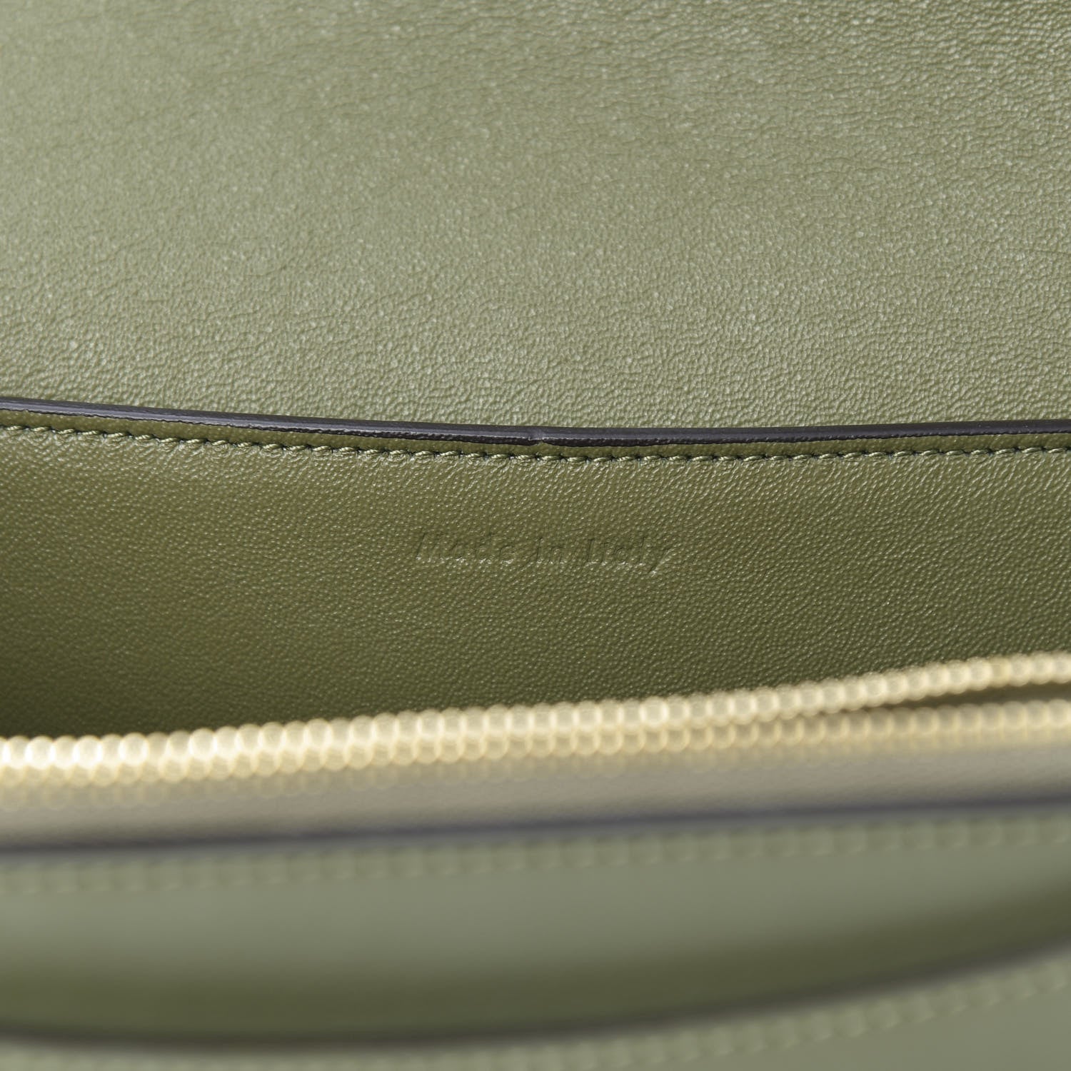 Celine Shiny Smooth Calfskin Medium Frame Shoulder Bag Olive Pastel Green 7 of 16