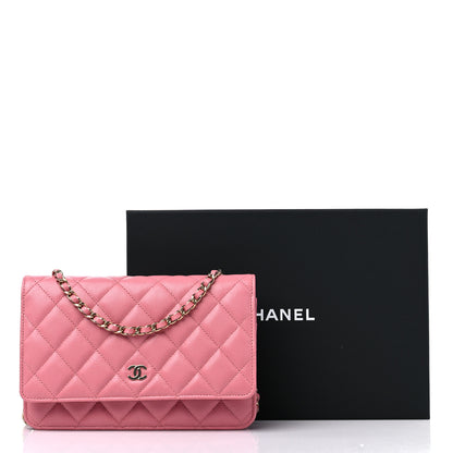Chanel Caviar Quilted Wallet On Chain WOC Dark Pink 11 of 11