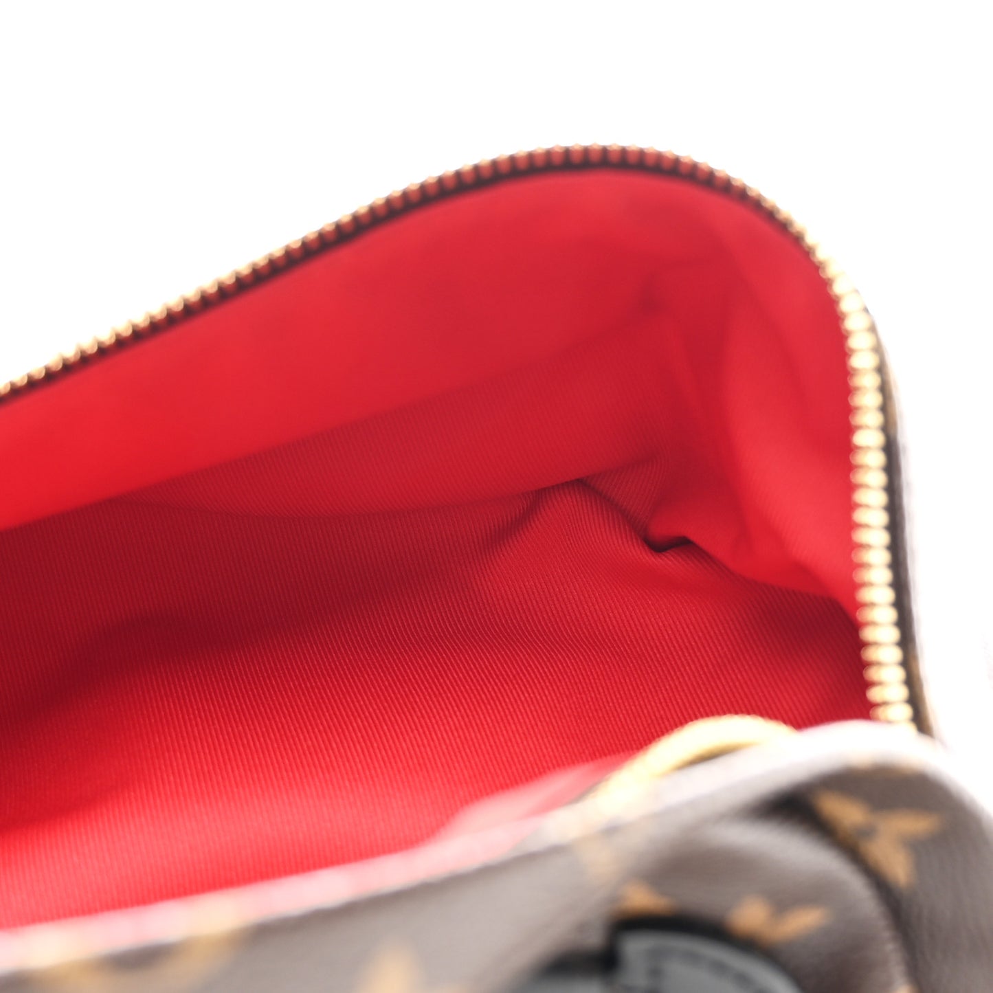 Monogram My LV World Tour Bumbag