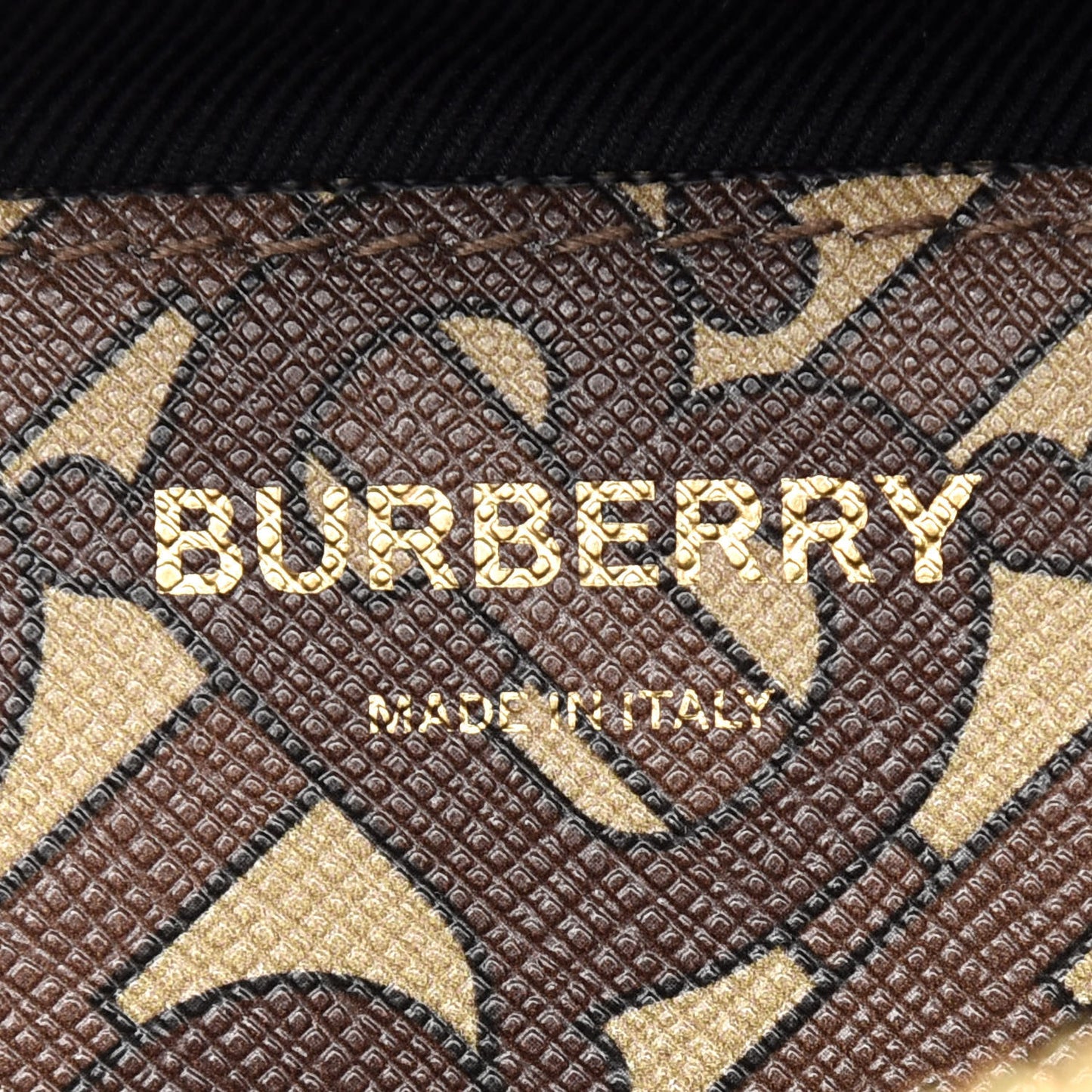 E-Canvas Monogram Stripe Medium Sonny Bum Bag Bridle Brown