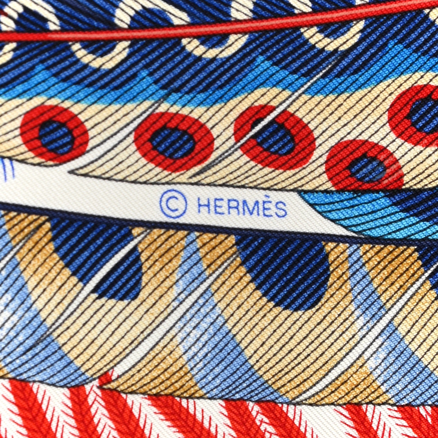 Silk Plumes En Fete Scarf 90