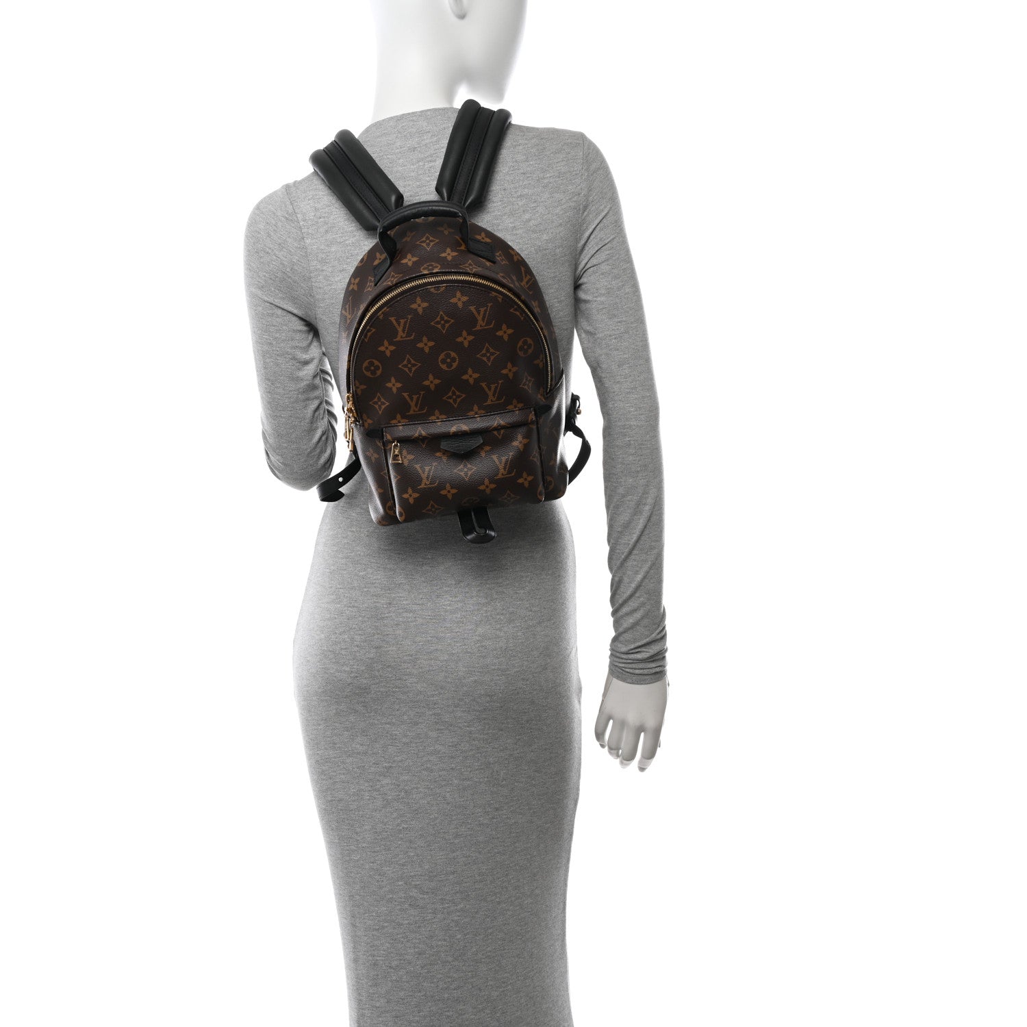 Louis Vuitton Monogram Palm Springs Backpack PM 2 of 9