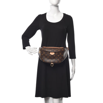 Louis Vuitton Monogram Bumbag 2 of 11
