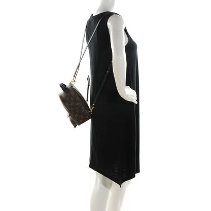 Louis Vuitton Monogram Palm Springs Backpack Mini 2 of 6