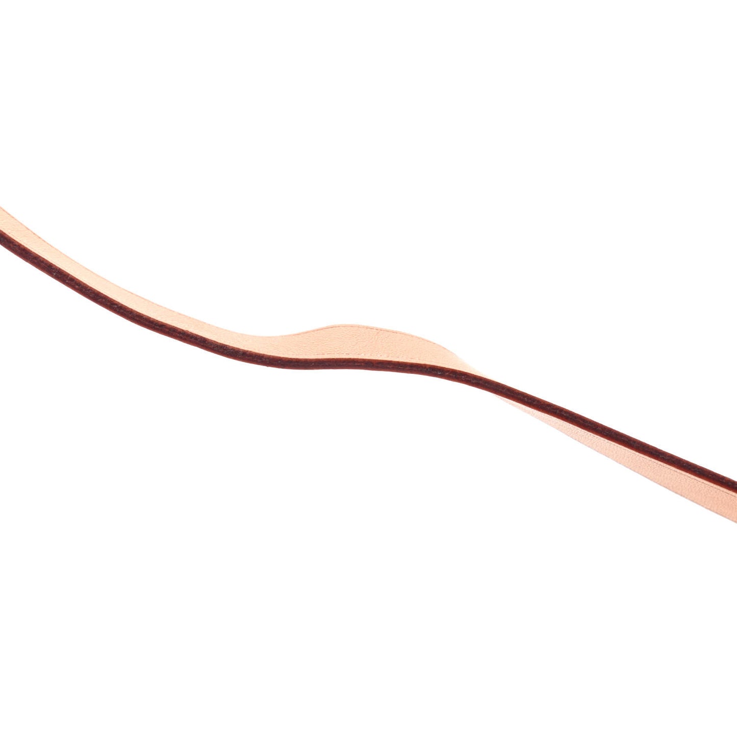 Monogram Pochette Florentine XS