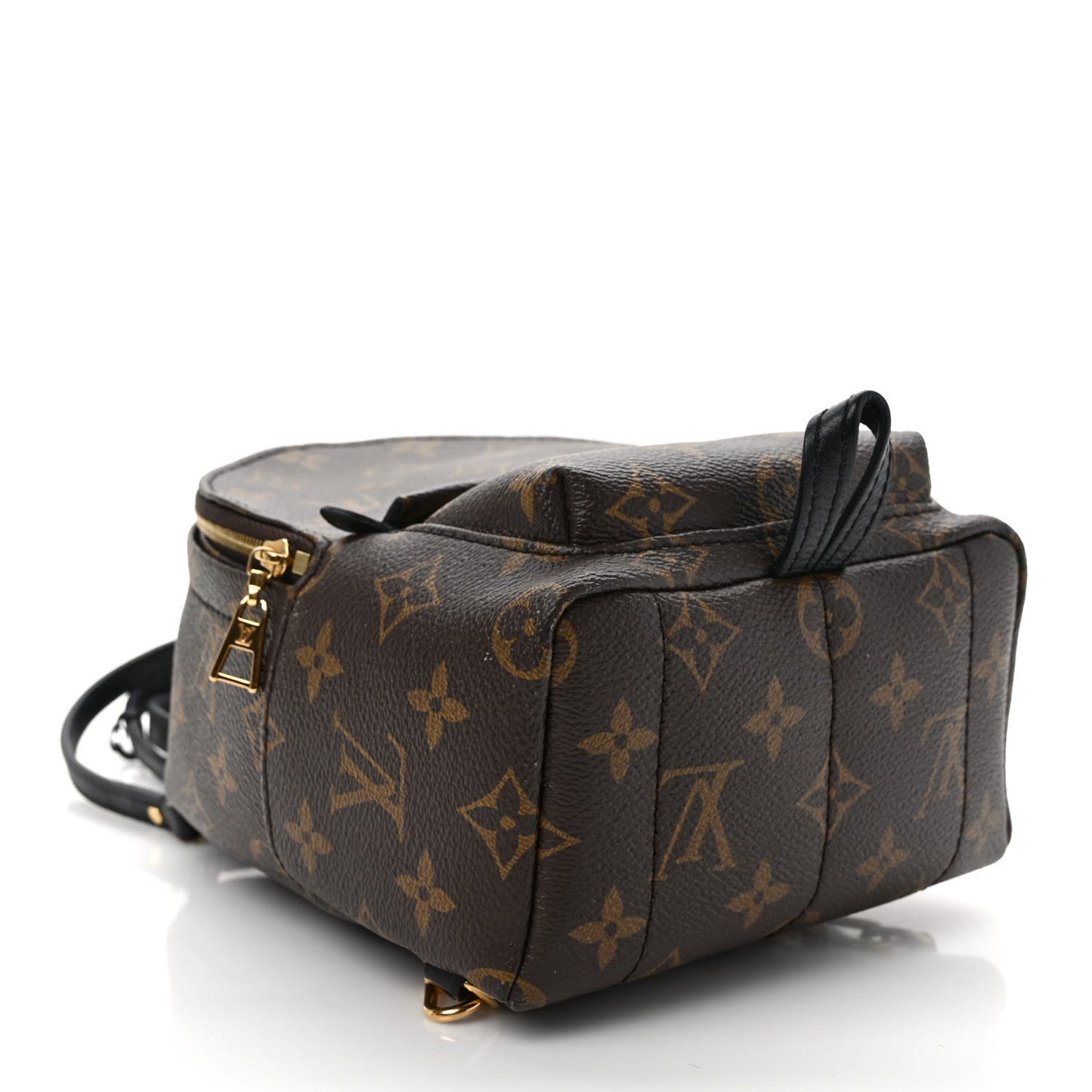 Monogram Palm Springs Backpack Mini