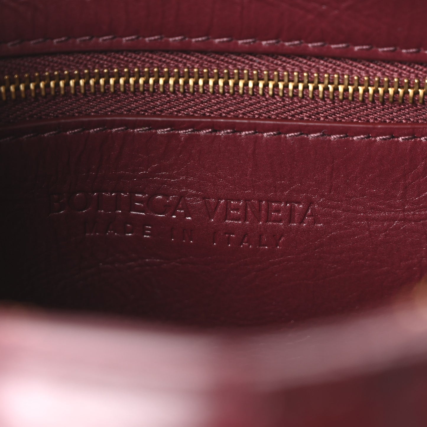 Paper Calfskin Intreccio Plisse Cassette Camera Bag Barolo