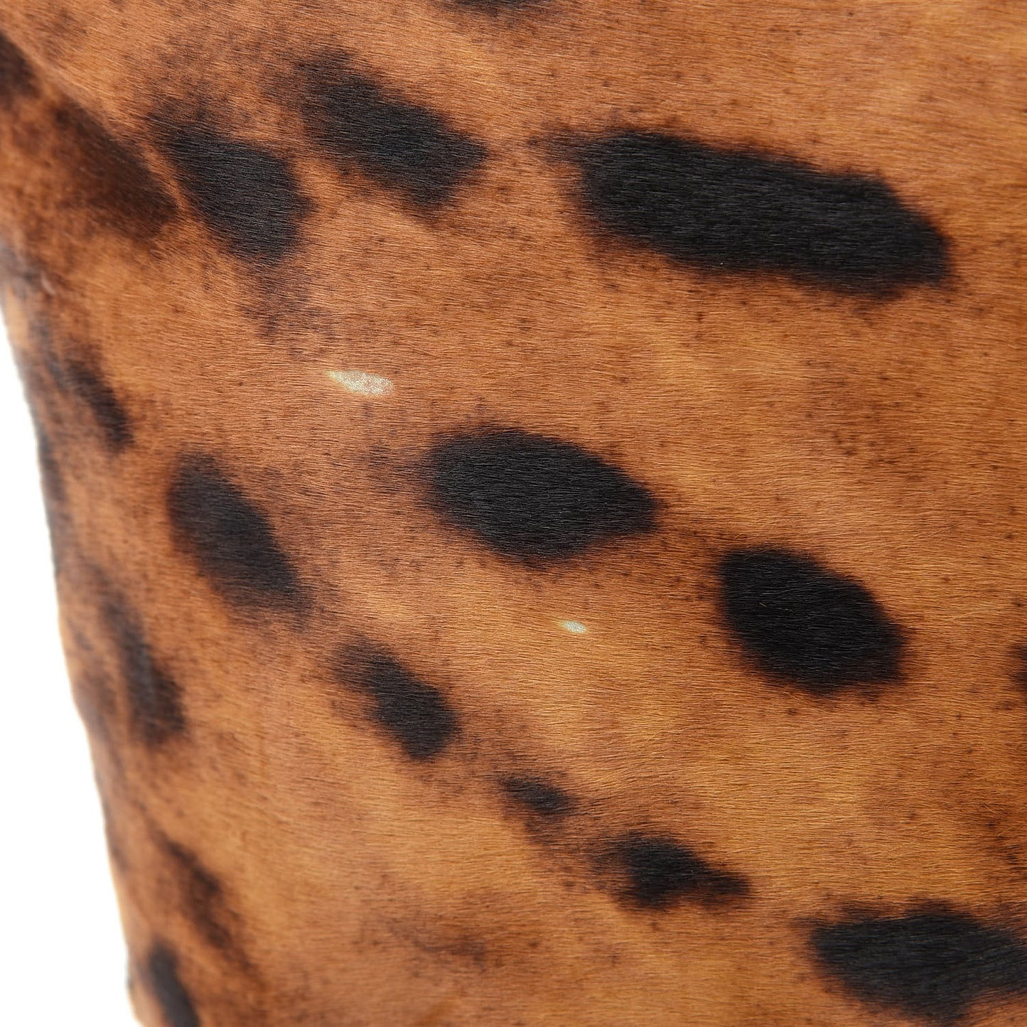 Calf Hair Leopard Print Medium Roll Tote Brown