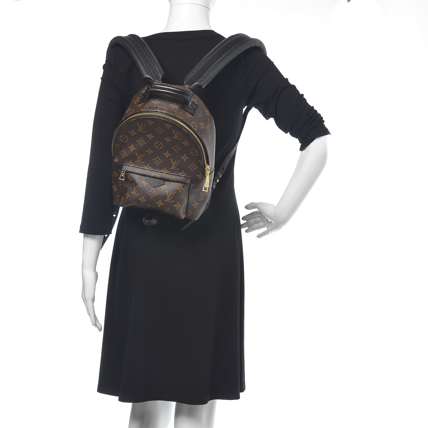 Louis Vuitton Monogram Palm Springs Backpack PM 2 of 11
