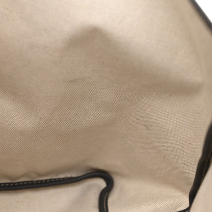 Goyard Goyardine Saint Louis PM Grey 15 of 15