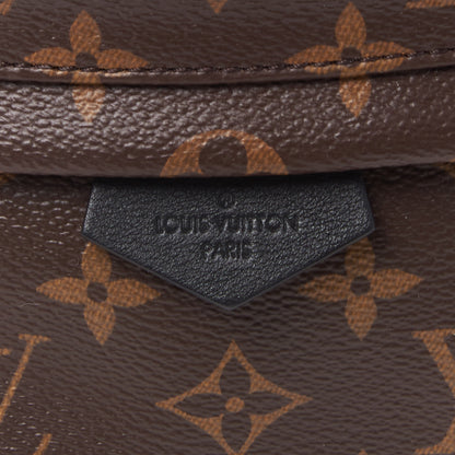 Louis Vuitton Monogram Palm Springs Backpack PM 8 of 9