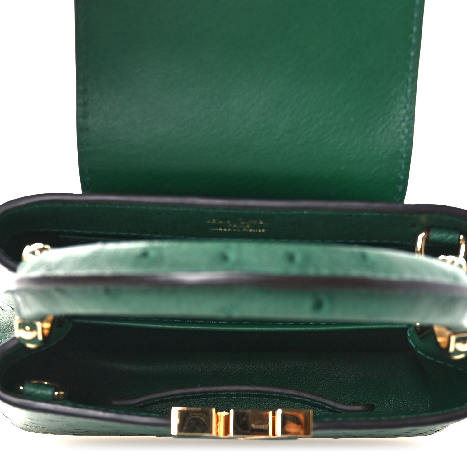Louis Vuitton Ostrich Capucines Mini Mint 1838785 – FASHIONPHILE