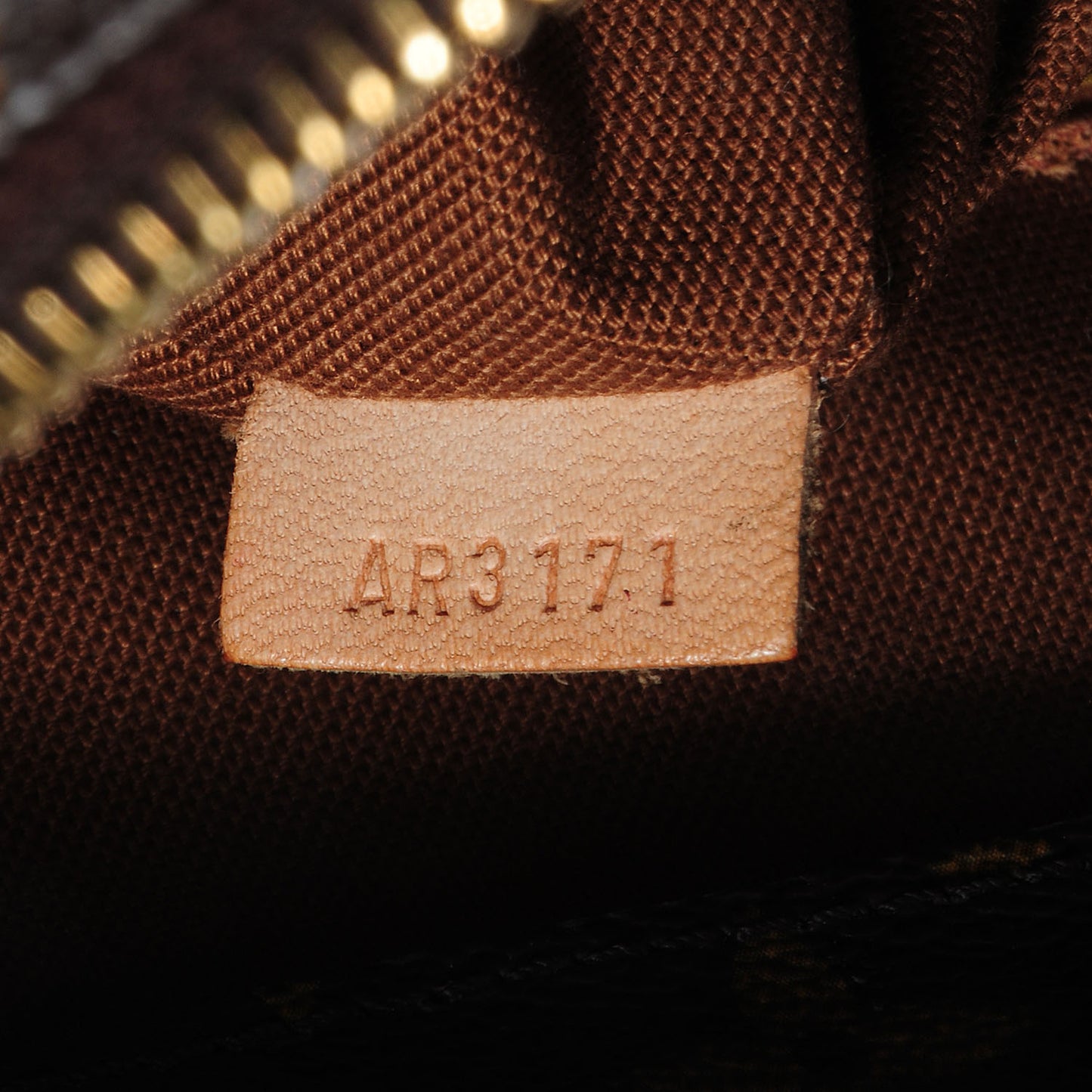 Monogram Cabas Mezzo