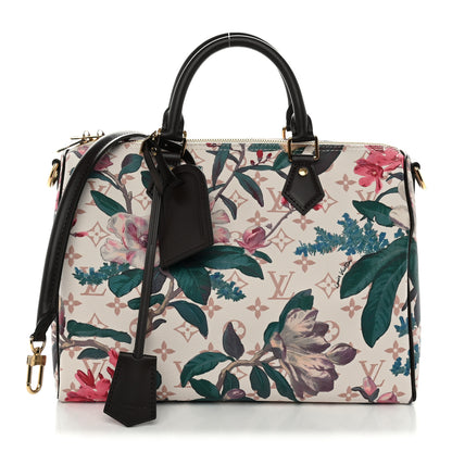 Louis Vuitton Monogram Dune Eden Speedy Soft 30 1 of 8