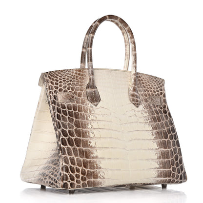 Hermes Matte Niloticus Crocodile Himalaya Birkin 30 Blanc 3 of 49