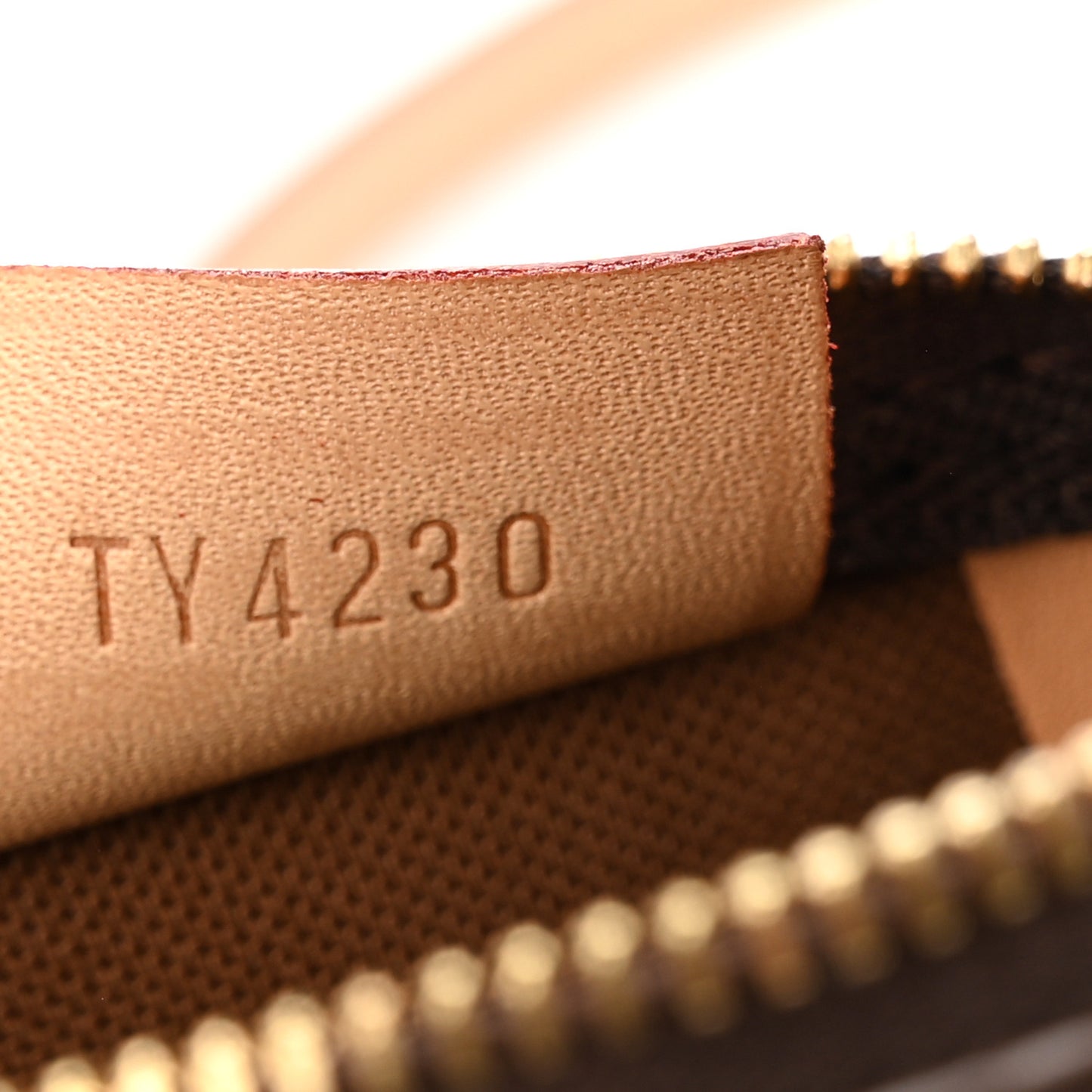 Monogram Nano Speedy