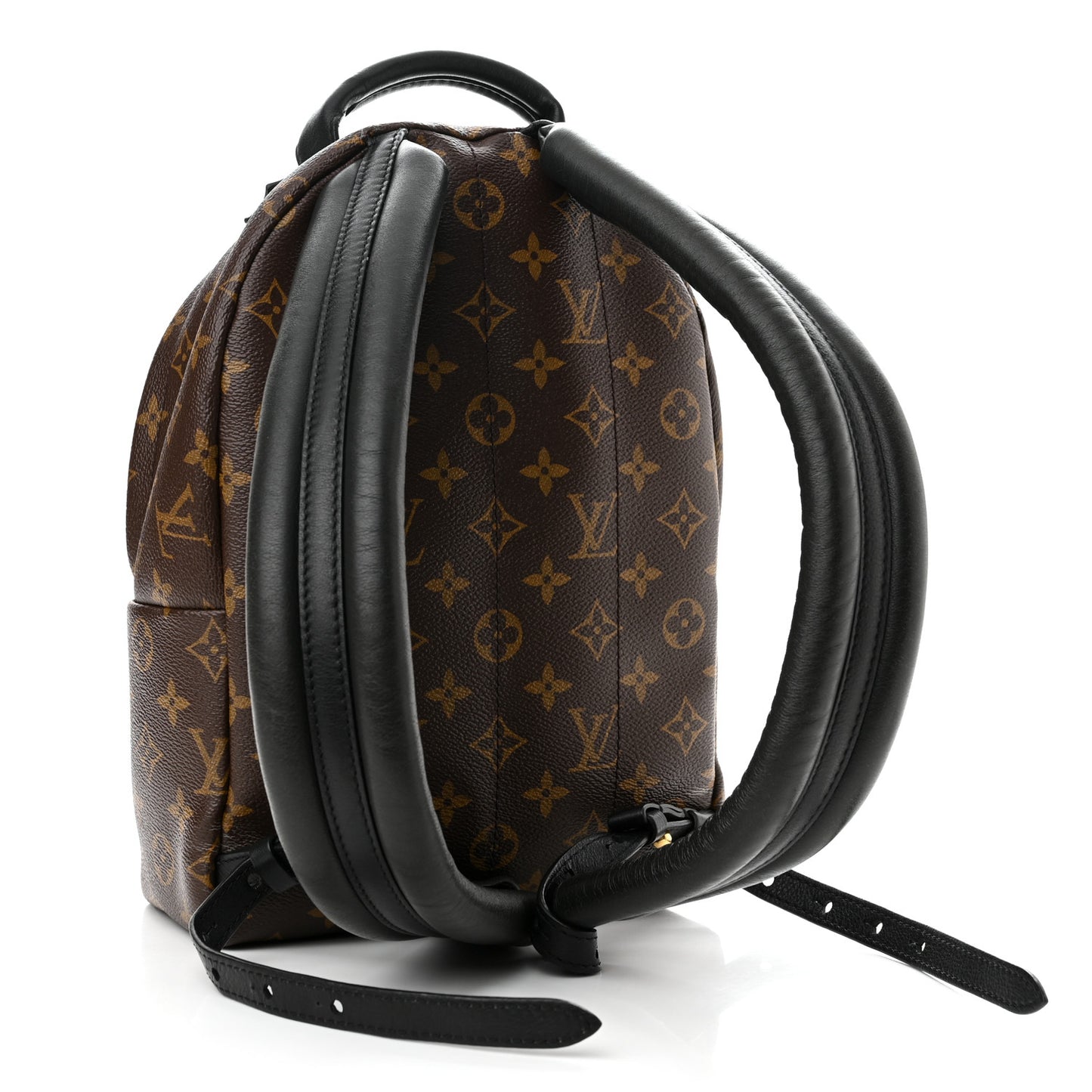 Monogram Palm Springs Backpack PM