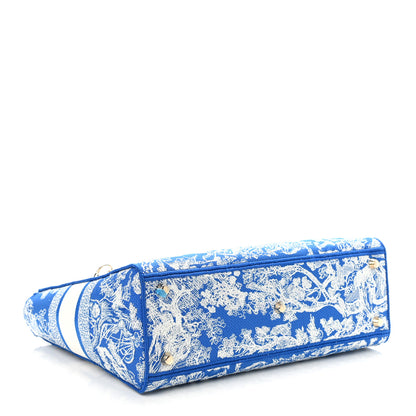 Christian Dior Toile de Jouy Embroidered Large Lady D-Lite Fluorescent Blue 3 of 9