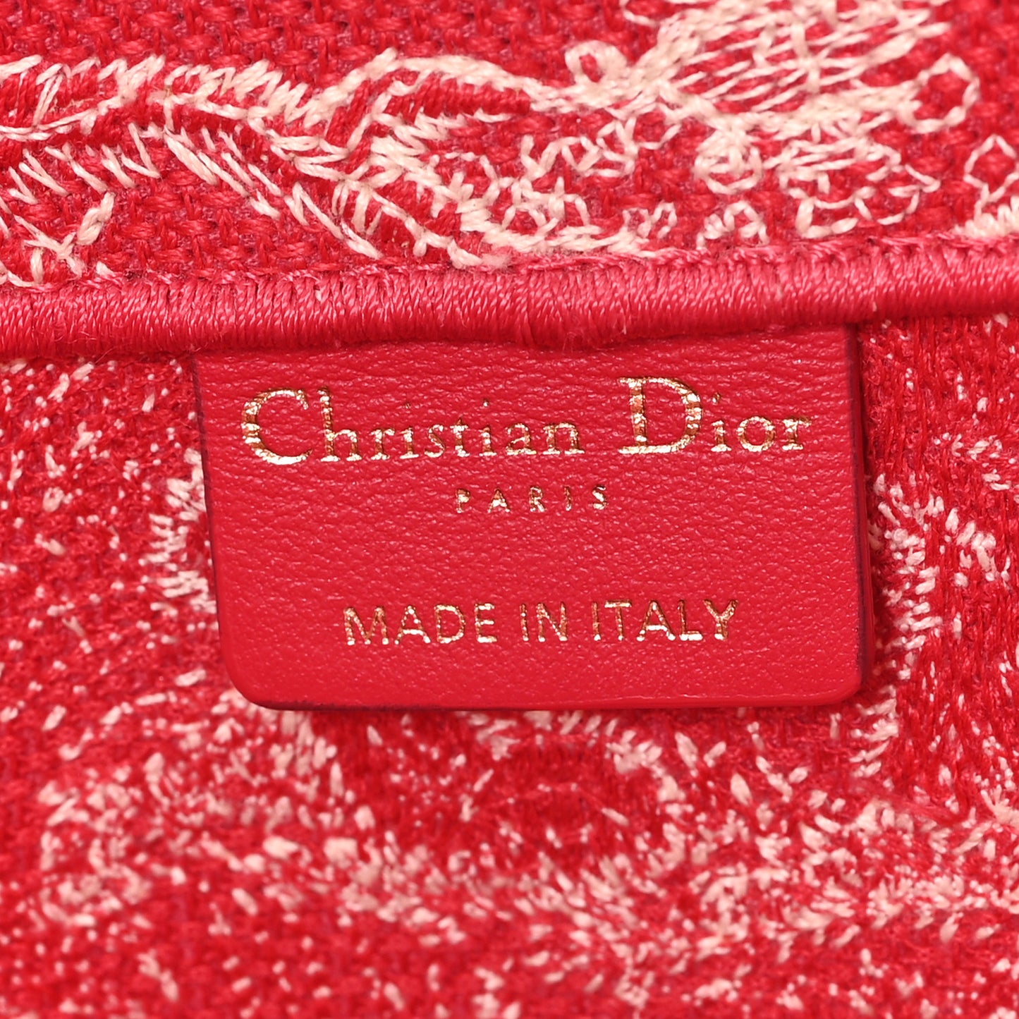 Canvas Embroidered Medium Dioriviera Toile De Jouy Book Tote Raspberry