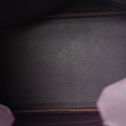 Hermes Taurillon Clemence Birkin 35 Raisin 5 of 15