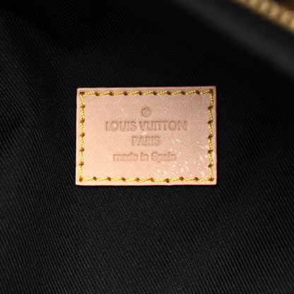 Louis Vuitton Monogram Bumbag 6 of 12
