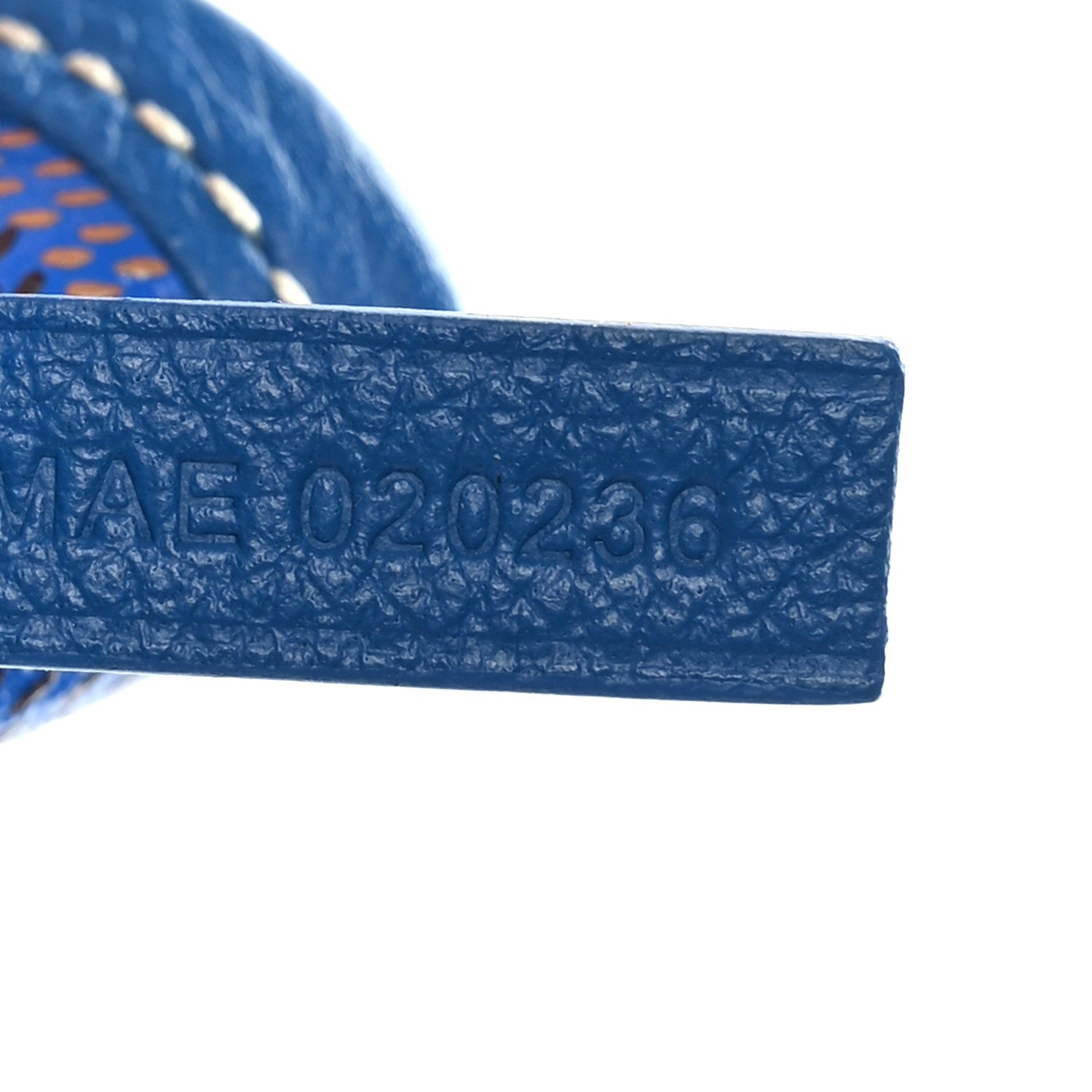 Goyard Goyardine Saint Louis PM Sky Blue 8 of 10