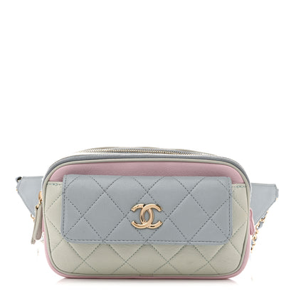 Chanel Goatskin Quilted Waist Bag Green Blue Pink 1 of 18