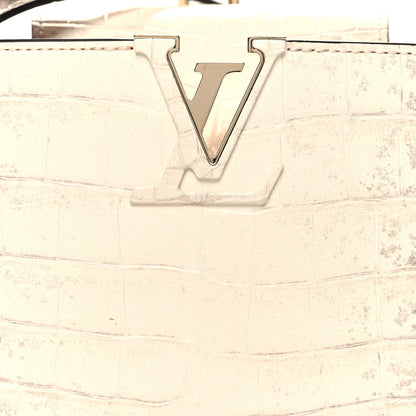 Louis Vuitton Iridescent Himalaya Crocodile Mini Capucines 7 of 9