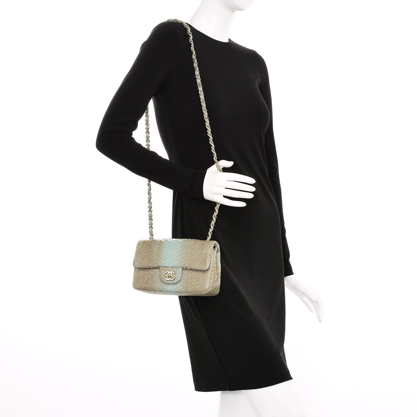 Python Mini Rectangular Flap Blue Brown