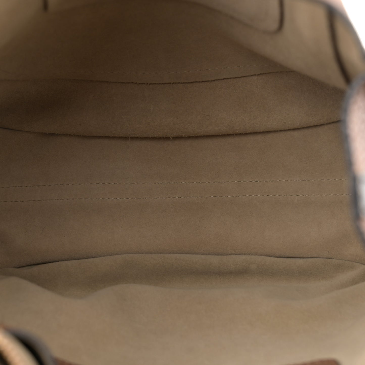 Grained Calfskin Small Hayley Hobo Nut