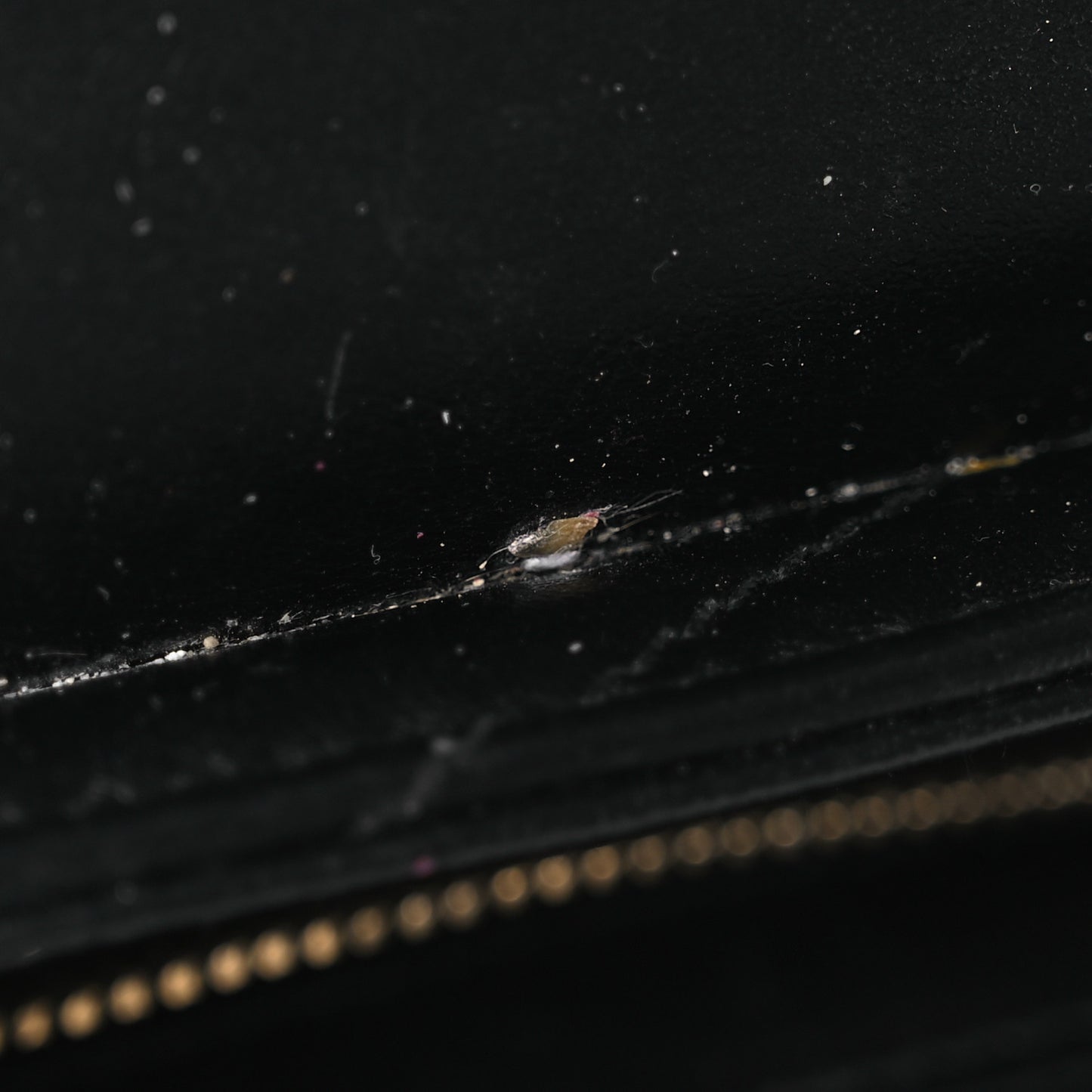 Calfskin Y Quilted Monogram Toy Loulou Crossbody Bag Black