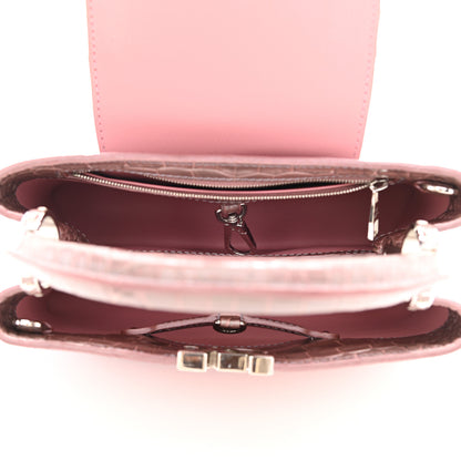 Louis Vuitton Crocodile Ombre Mini Capucines Pink 5 of 8