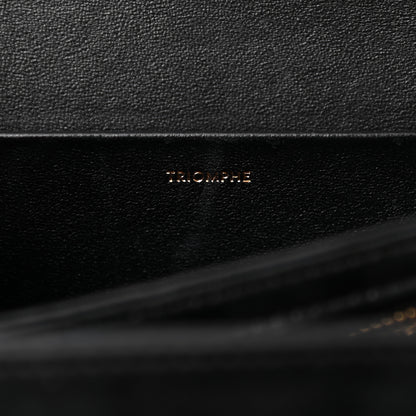 Celine Shiny Calfskin Medium Triomphe Black 7 of 17