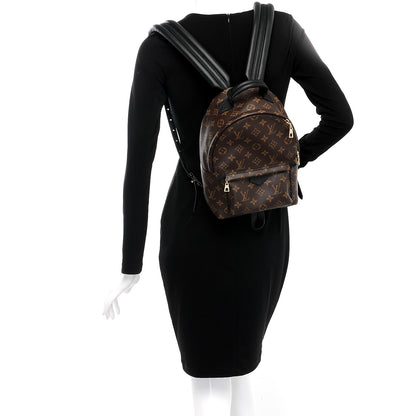 Louis Vuitton Monogram Palm Springs Backpack PM 2 of 7