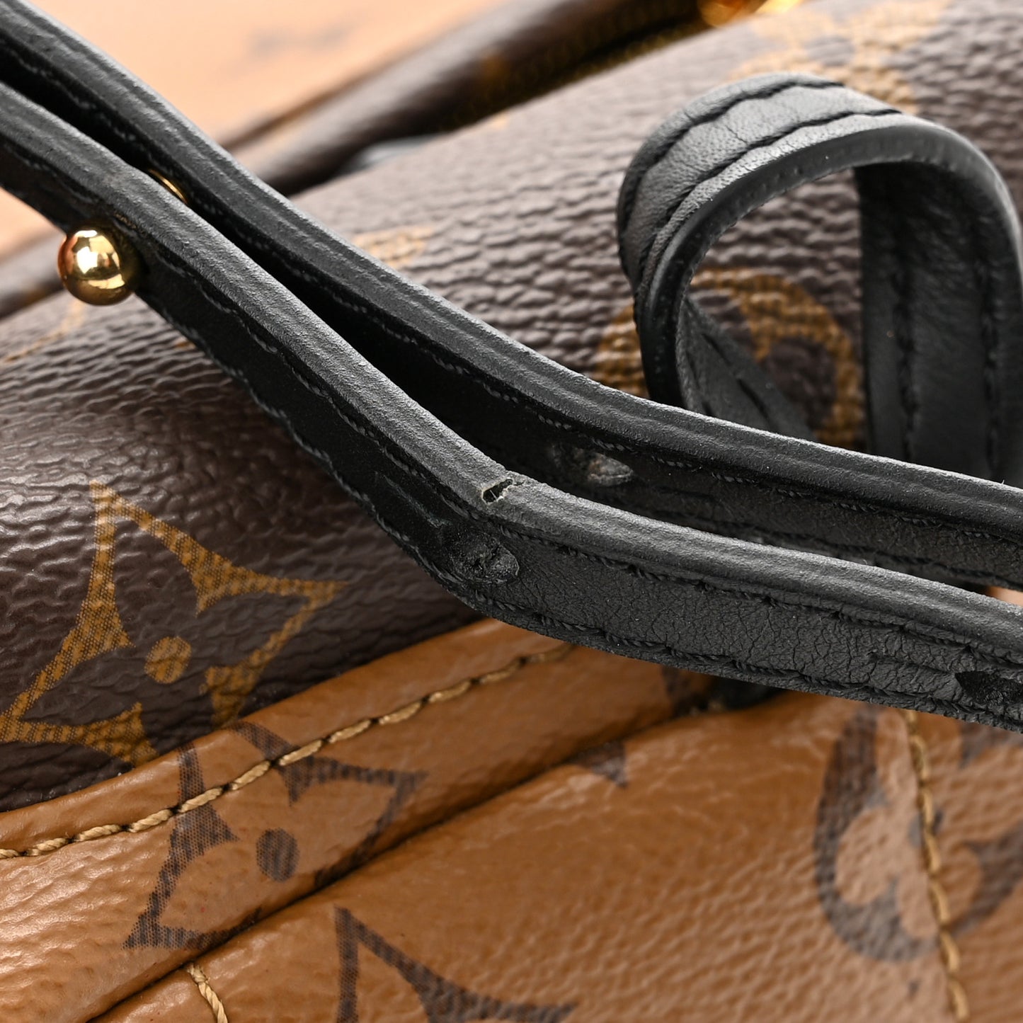 Reverse Monogram Palm Springs Backpack Mini