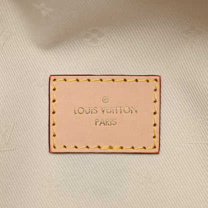 Louis Vuitton Monogram High Rise Bumbag 6 of 9