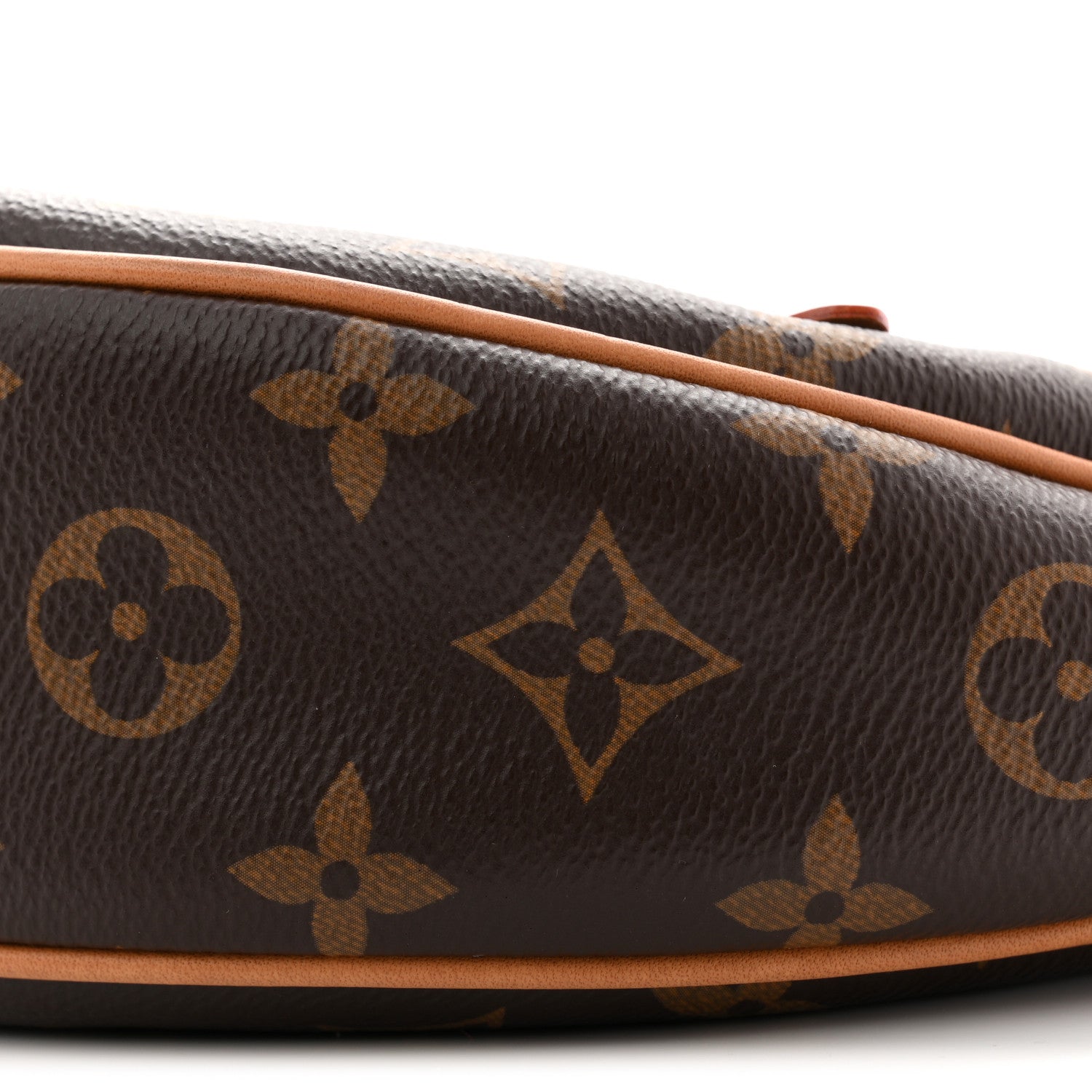 Louis Vuitton Monogram Loop 9 of 11