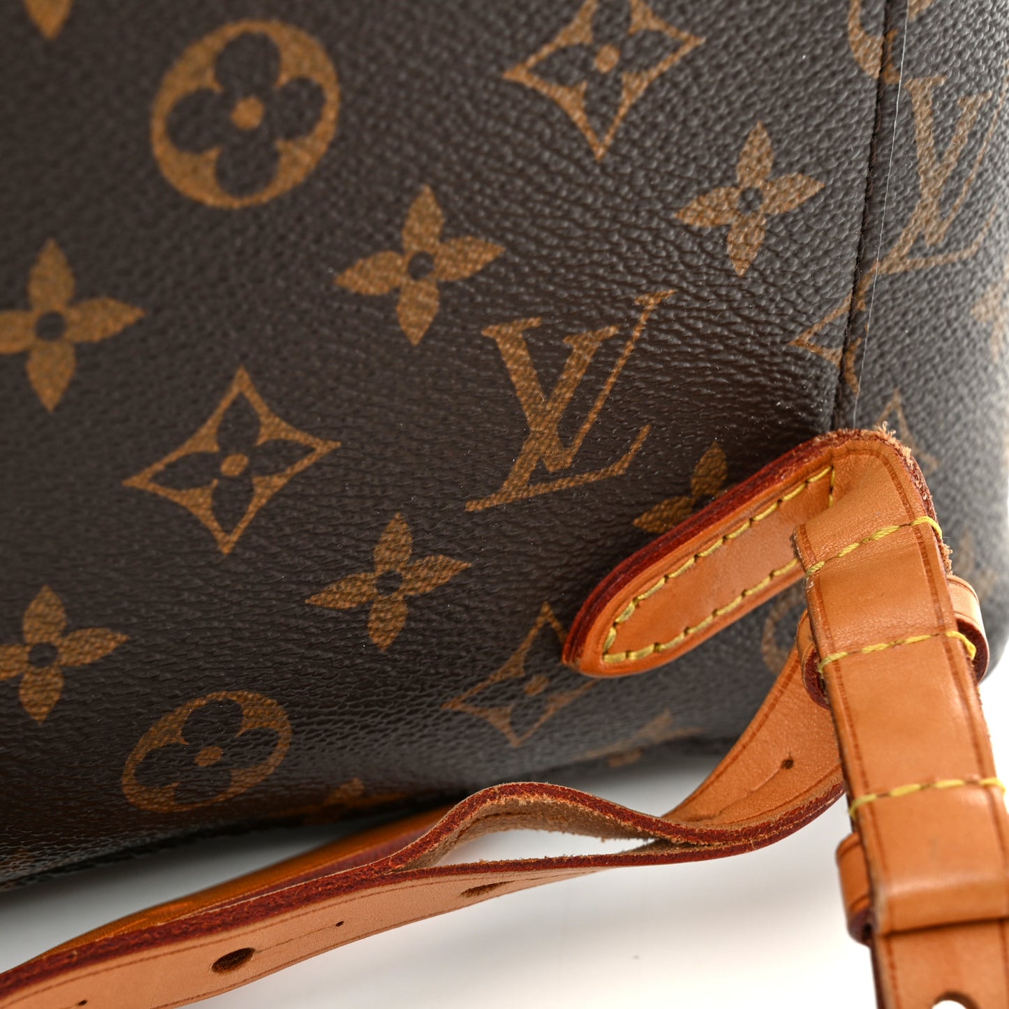 Monogram Montsouris NM Backpack