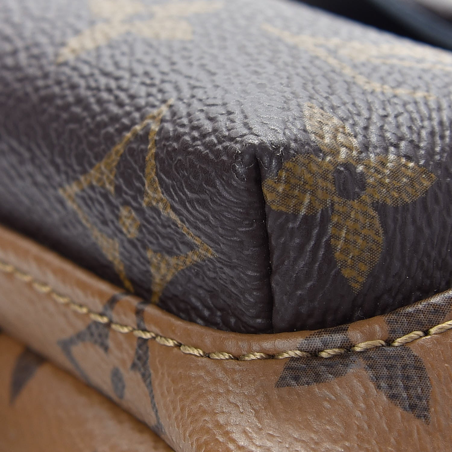 Louis Vuitton Reverse Monogram Palm Springs Backpack Mini 9 of 11