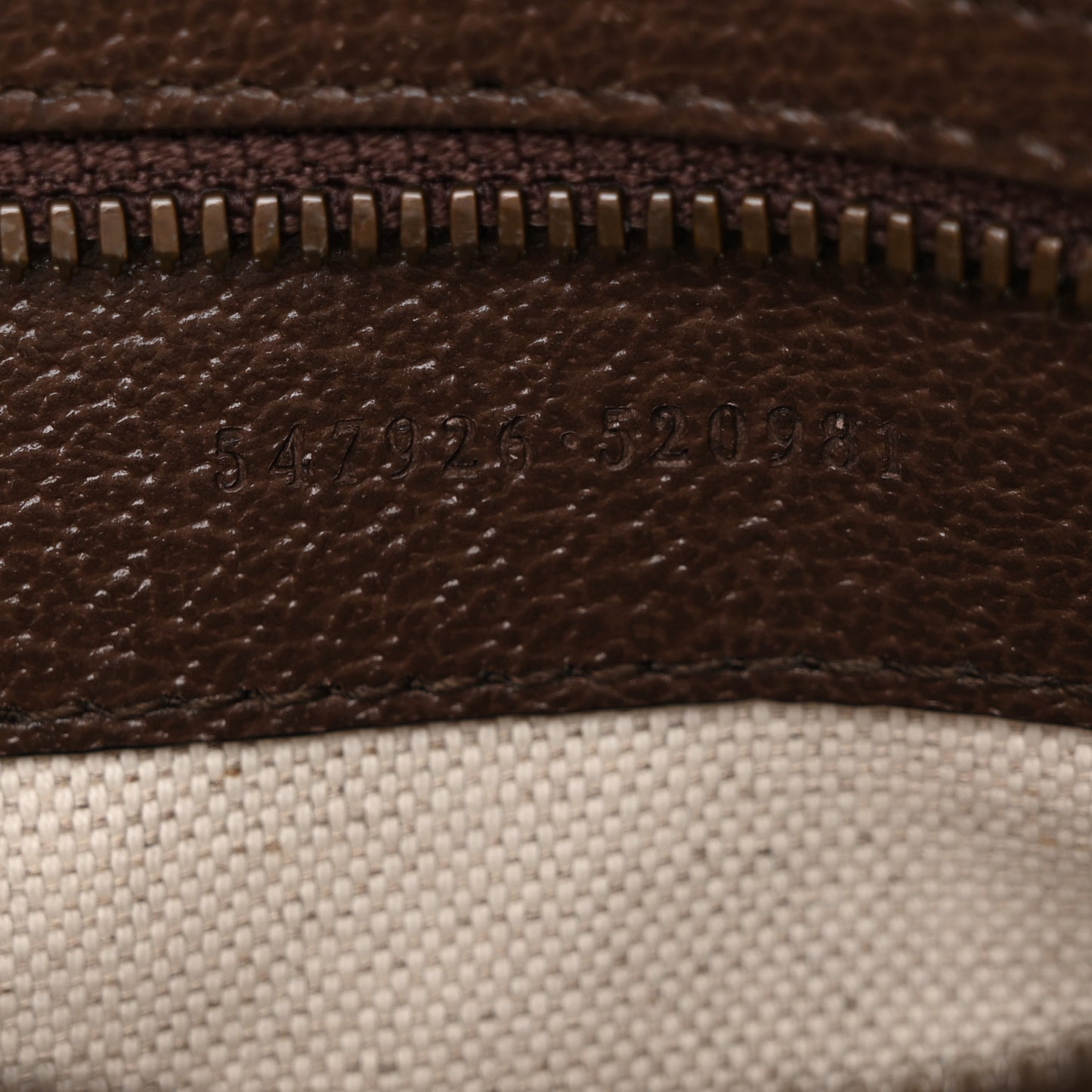GG Supreme Monogram Web Small Ophidia Messenger Bag Brown
