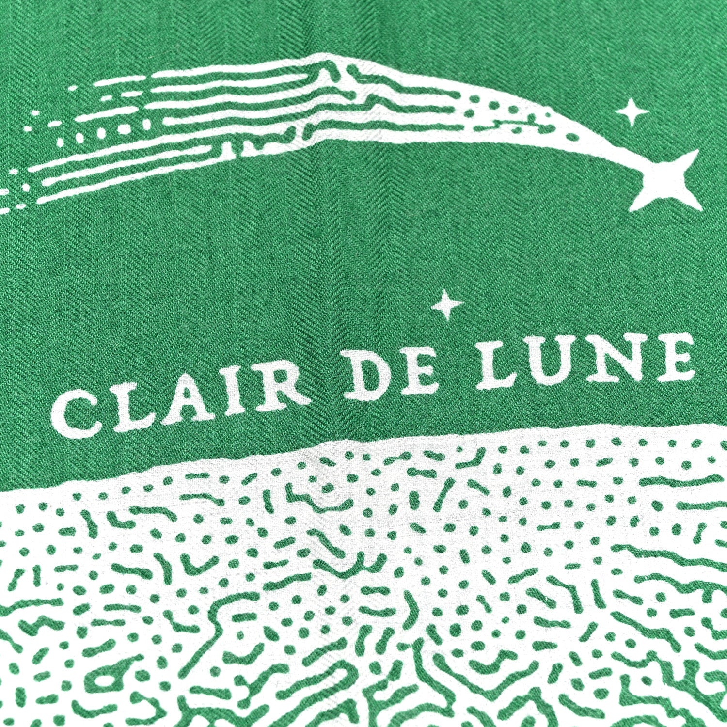 Hermes Silk Cashmere Clair De Lune Shawl 140 Green 5 of 5