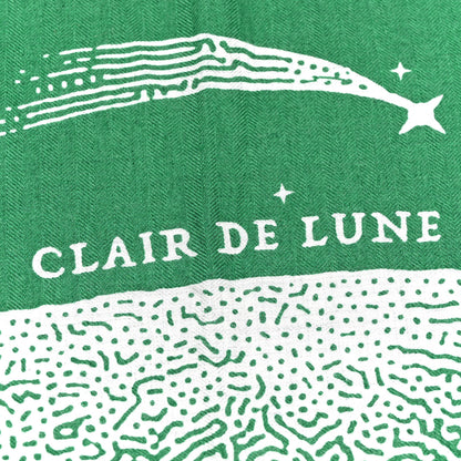 Hermes Silk Cashmere Clair De Lune Shawl 140 Green 5 of 5