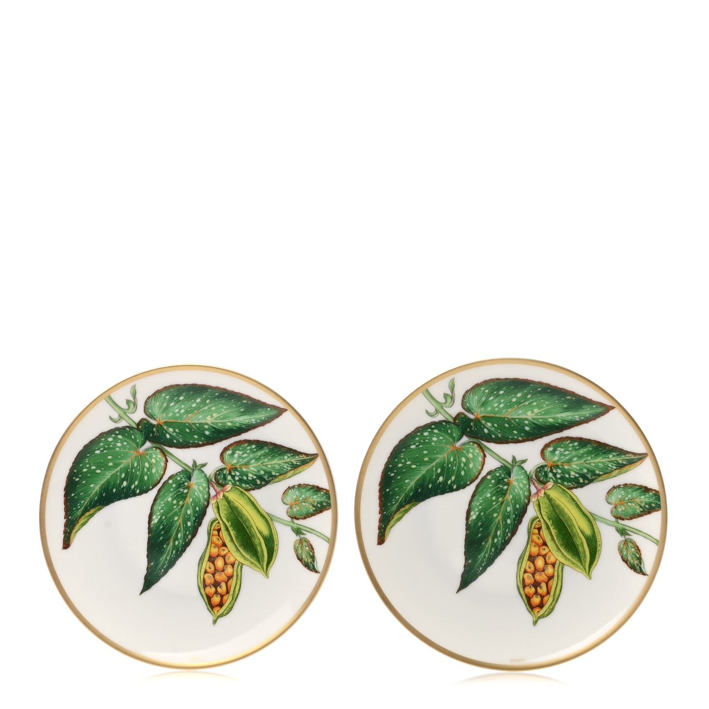 Porcelain Passifolia Bread and Butter Plate Set of 2