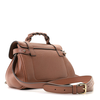 Mulberry Heavy Grain Mini Alexa Chestnut 7 of 17