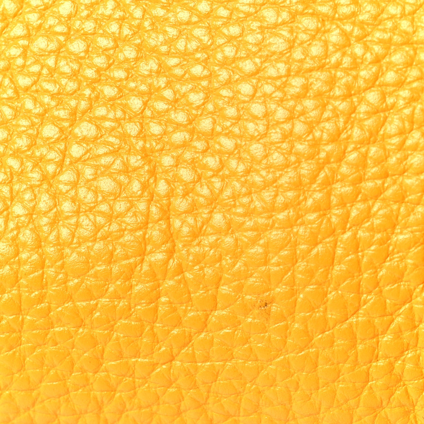 Grained Calfskin Medium The Tote Bag Artisan Gold